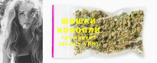 СК Медногорск